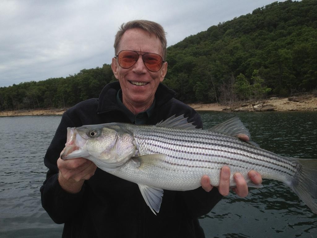 Roy Ferrell Obituary-img