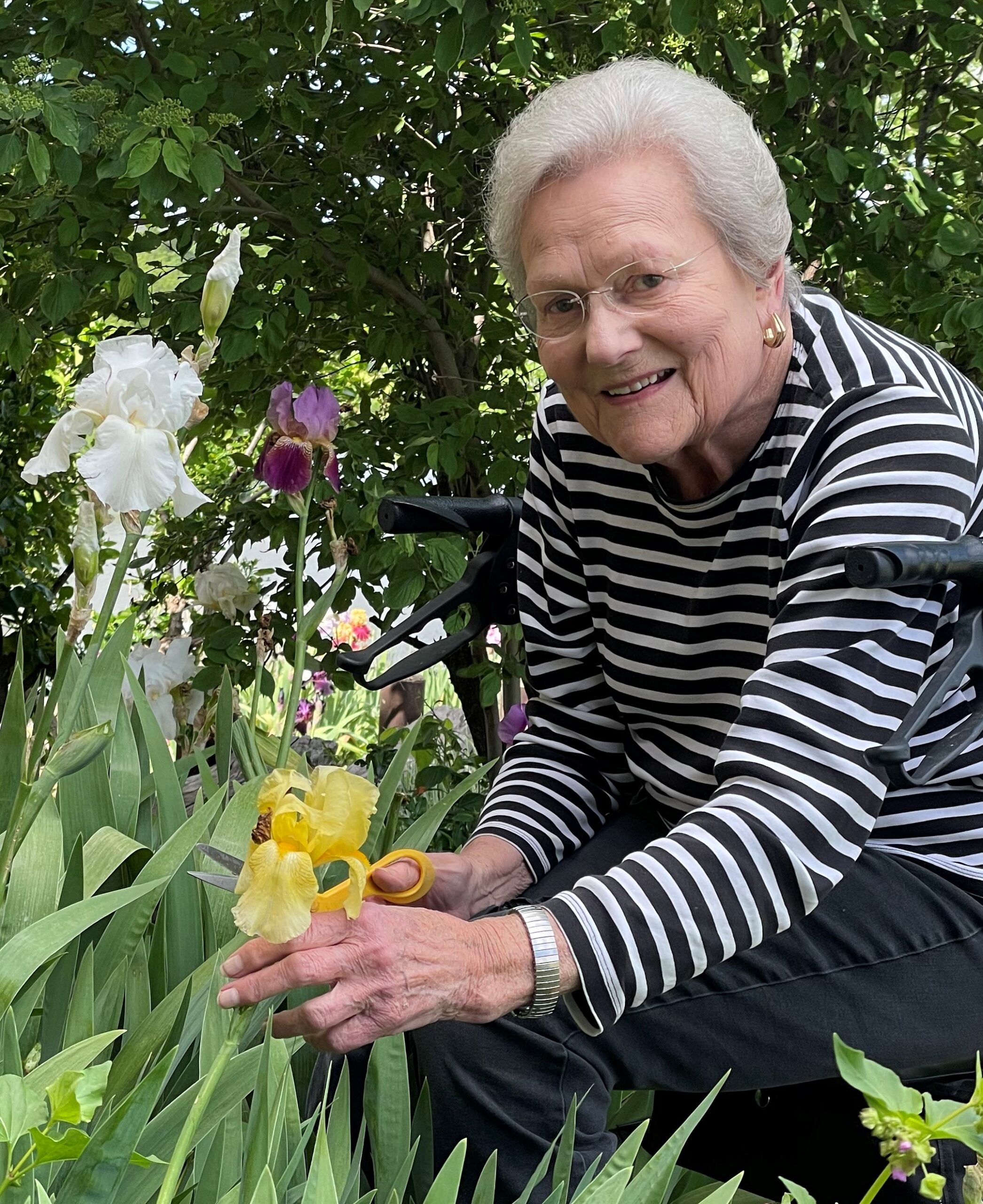 lois lander
