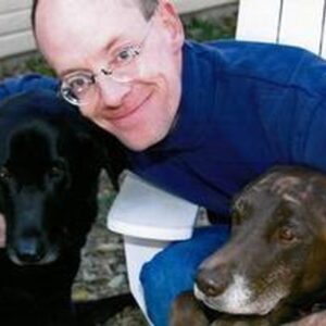 andrew illidge Gallery