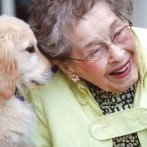 virginia becker Gallery