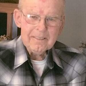 robert novotny Gallery