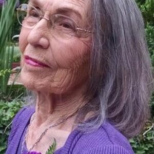 dorothy mitchell Gallery