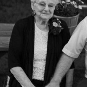 sylvia thrush Gallery