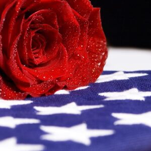 david murach Gallery