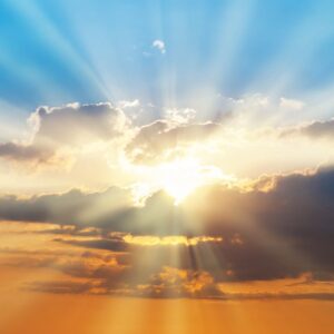 deborah young Gallery