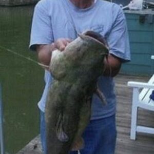 robert livingston Gallery