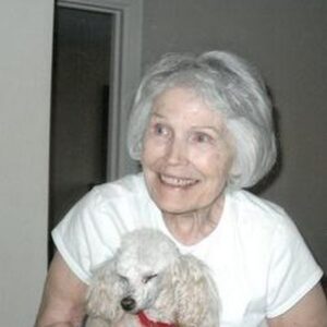 shirley brinkman Gallery