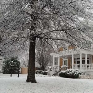 linda richardson Gallery