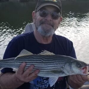 benny behrns Gallery