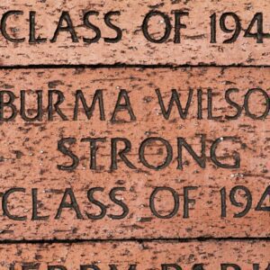 burma strong Gallery