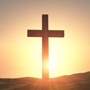 steven scheier Gallery