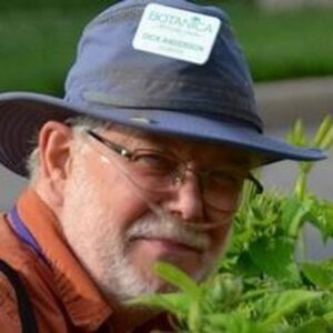 howard anderson Gallery