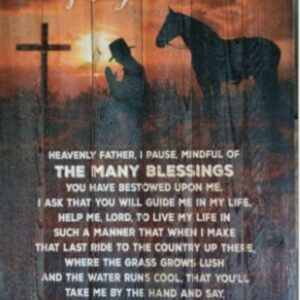 michael modeen Gallery