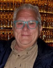 david stein