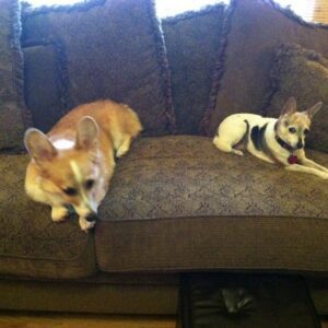 rebecca graham Gallery