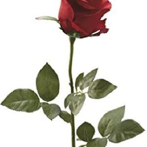 elizabeth garoutte Gallery