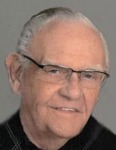 herbert damman