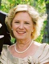 diane leisy
