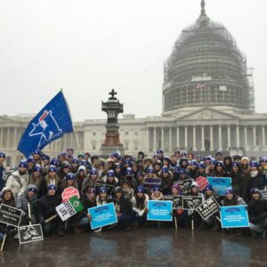 robert cuillo Gallery