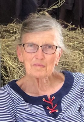 donna cline