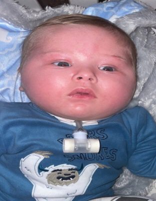 kingston hudson