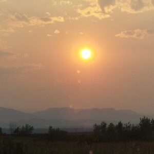 george puckett Gallery