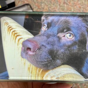 frederick nixon Gallery