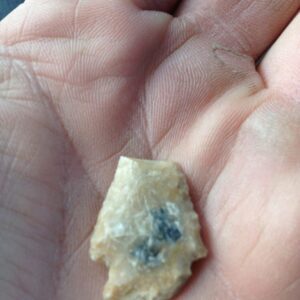 barbara queen Gallery