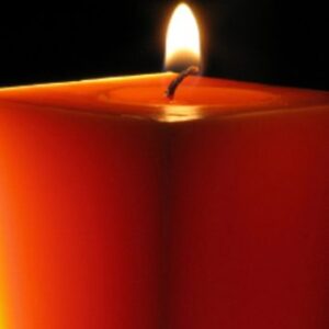 gary  schaffer Gallery