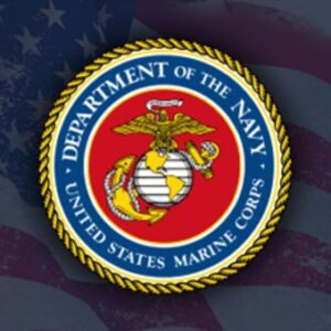 michael lloyd Gallery