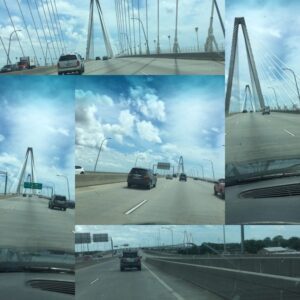 ricky clevenger Gallery