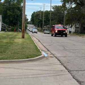 v. steve shaffer Gallery