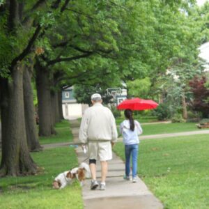 alan phares, jr. Gallery