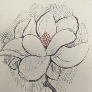 joe bullington Gallery