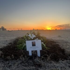 randall pierce Gallery