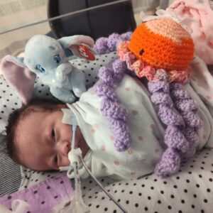 everleigh hubbard Gallery