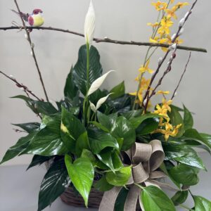 European Garden Double Basket