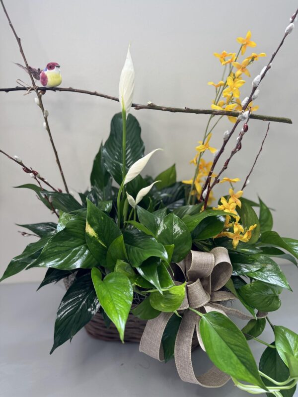 European Garden Double Basket