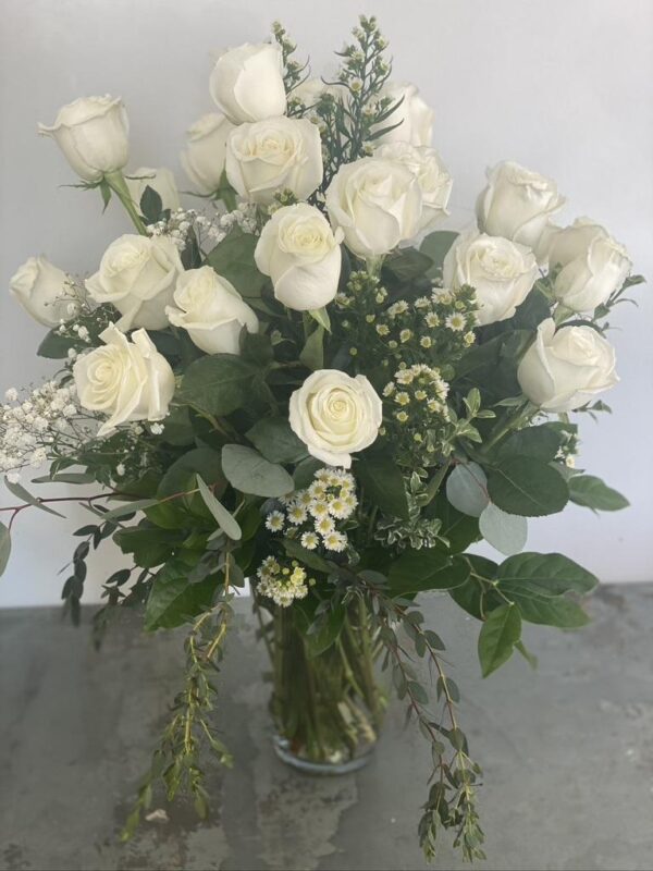 The Derby Two Dozen White